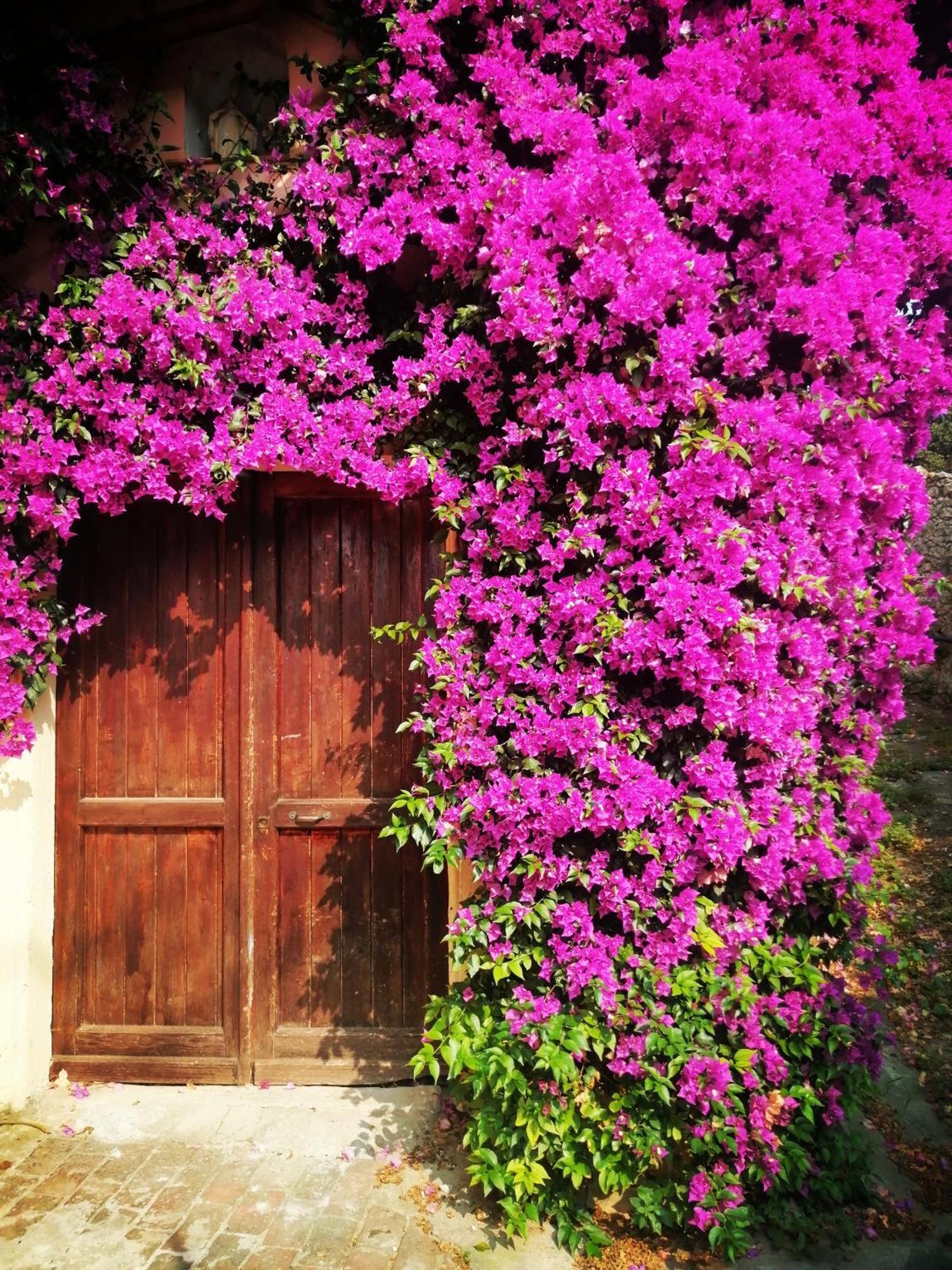 B&B Il Girasole フィナーレ・リーグレ エクステリア 写真